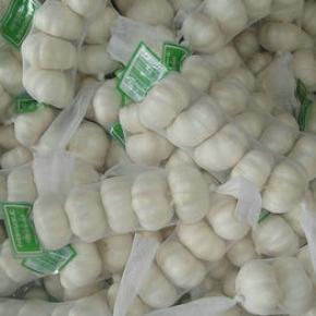 5pcs packing garlic