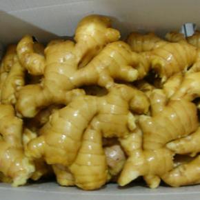 Fresh Ginger Packed in PVC Box 