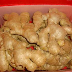 Air Dried Ginger