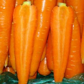 Fresh Carrot