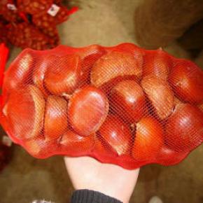 1kg mesh bag packing Fresh Chestnut 